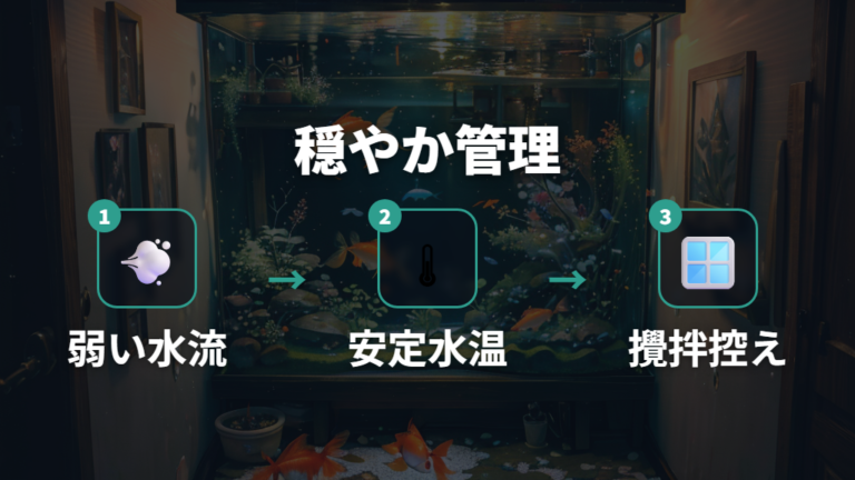 孵化までの水槽環境づくりは弱い水流と安定水温を意識する