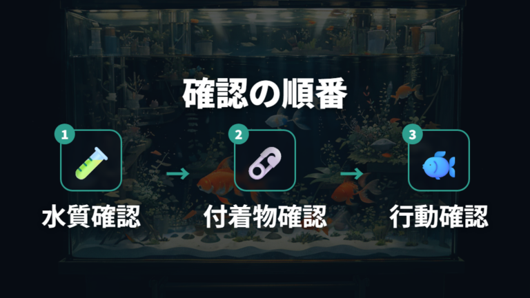 白くなった時の改善策を水質や行動と一緒に確認する
