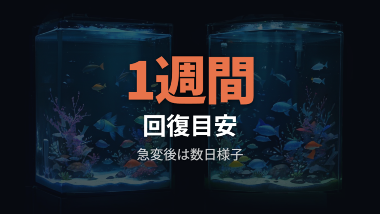 水温ショック後は数日から1週間ほど変化に注意する