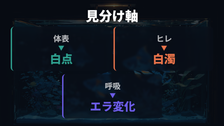 似た病気との見分け方を体表とヒレから整理する
