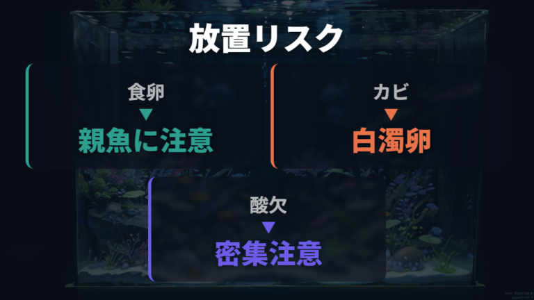 卵付きのまま放置するリスクは食卵・カビ・水通りに分ける