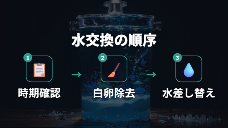 卵を入れた後の水換え手順とカルキの切り替え