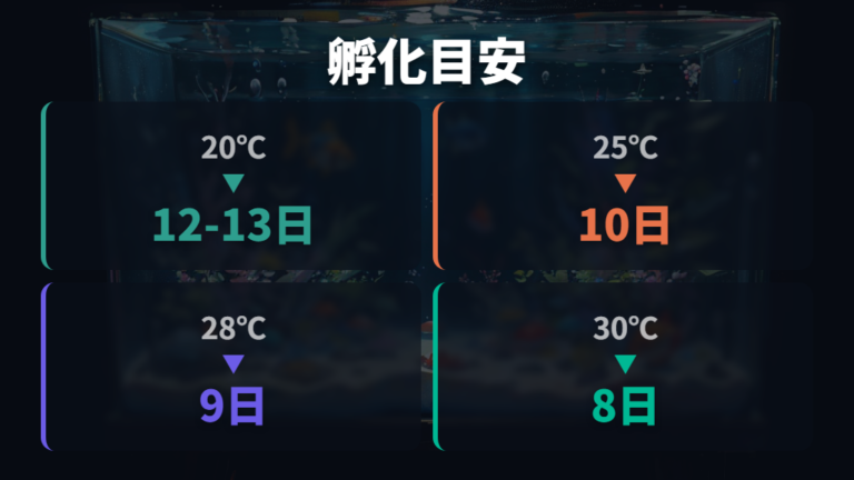 孵化までの卵の変化と日数を水温別に整理する