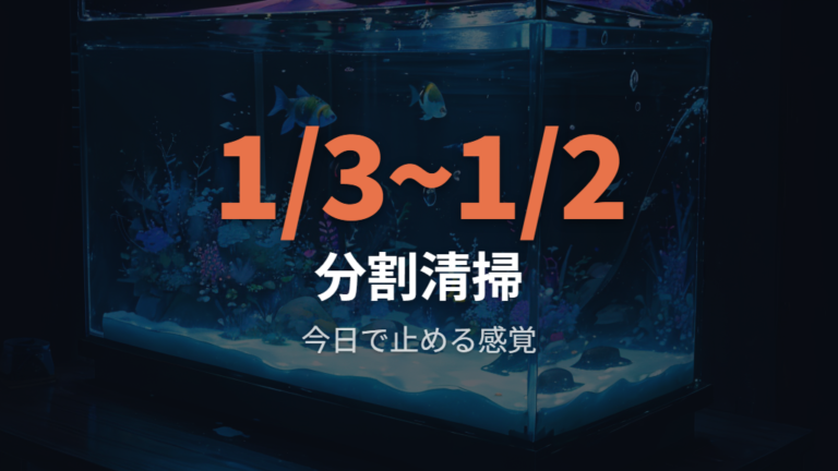 水換え時に掃除する範囲は一度に広げず分けて考える