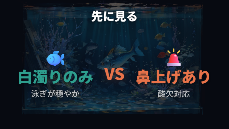白濁りした水槽で魚は大丈夫か危険サインを見る