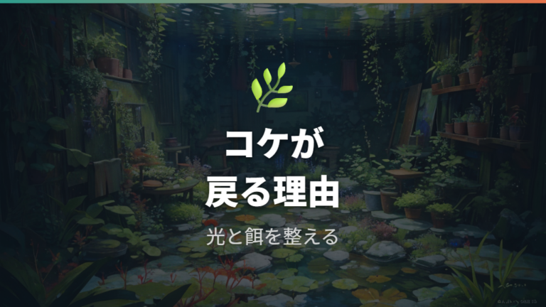 コケ汚れを減らす掃除と管理は光と栄養を絞る