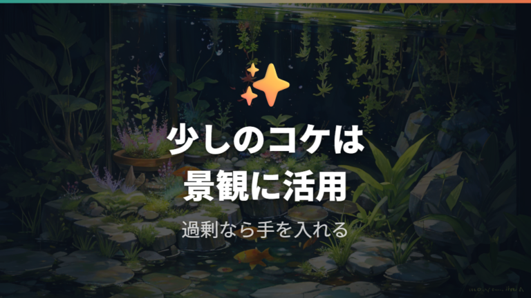 水槽のコケは微細な藻や自然な景観として考える