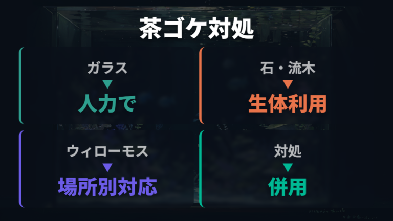 コケの種類別に合う取り方を茶ゴケ中心に整理する