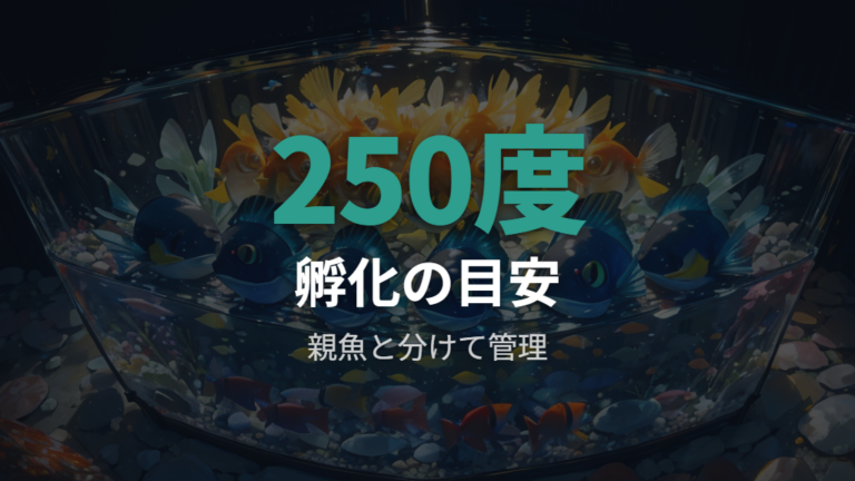 卵の採卵と孵化までの管理は親と分けるのが基本
