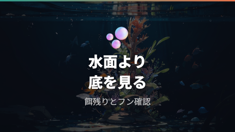 稚魚容器の水が汚れる原因と対策を底から見る