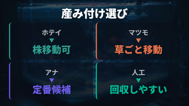 産み付けやすい水草と産卵床を比べて選ぶ