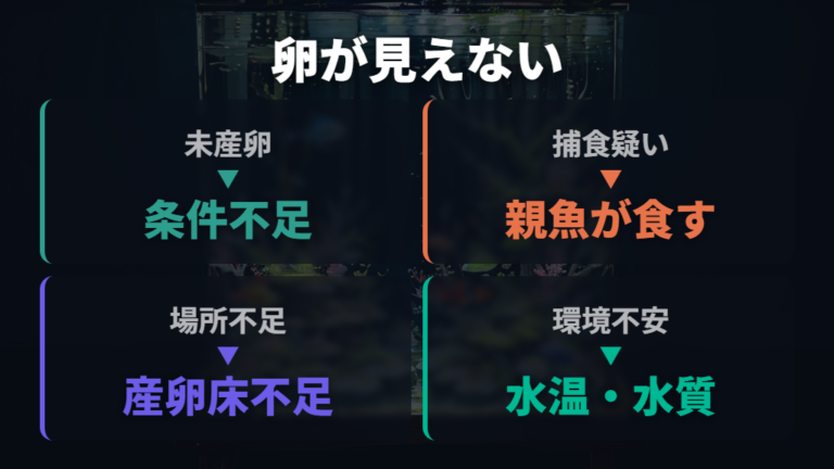 卵がつかない原因は産んでいない場合と食べられた場合で分ける