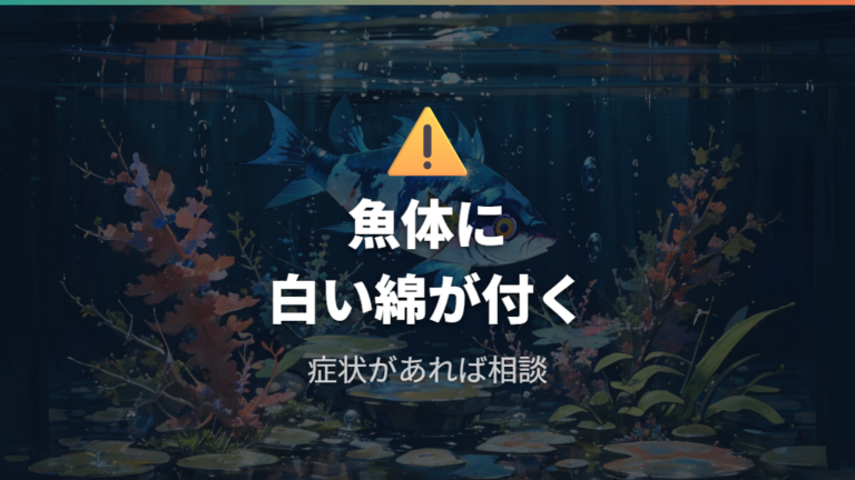 カビは魚に悪影響があるのかを症状で判断する