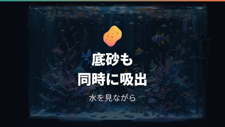 底砂掃除もできる水換え方法で汚れを同時に抜く