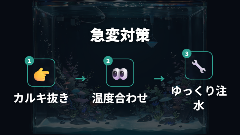 稚魚を弱らせない水換えは急変を避ける準備が先