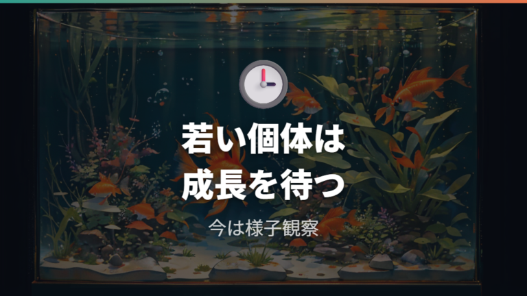 性別が分かるようになる時期は若い個体ほど待つ