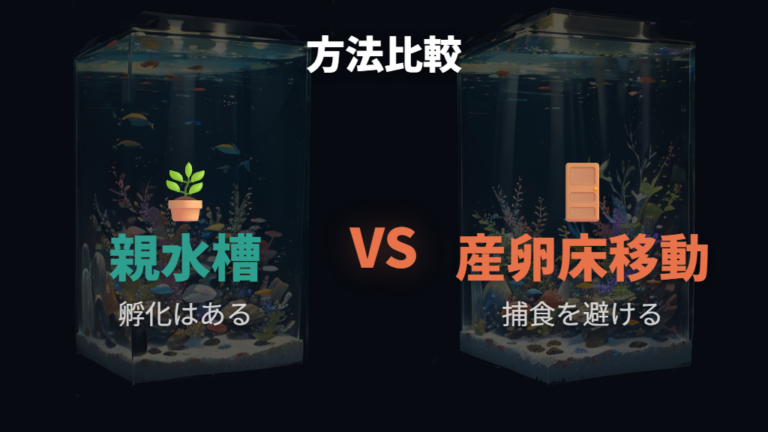 隔離する場合としない場合の違いを比べる