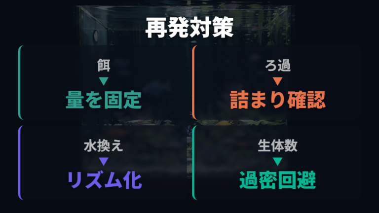茶ゴケを再発させない管理は餌とろ過から整える
