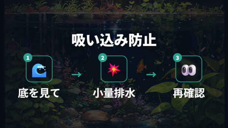 稚魚を吸い込まない水換え方法は少量排水が基本