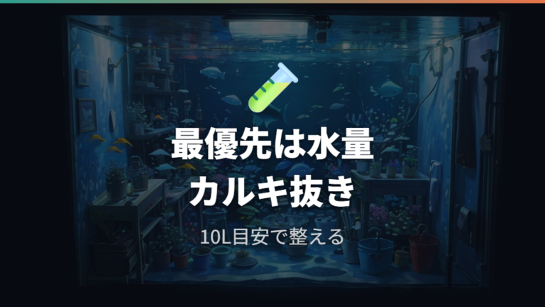 最初に用意したい飼育環境は水量とカルキ抜きが基本