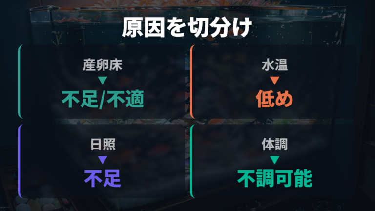卵を産み付けない主な原因を環境から切り分ける