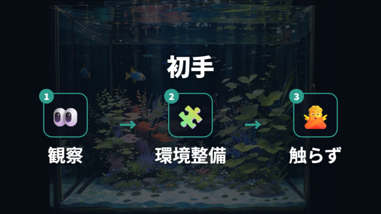 過抱卵になった時の対処法は何から始める?
