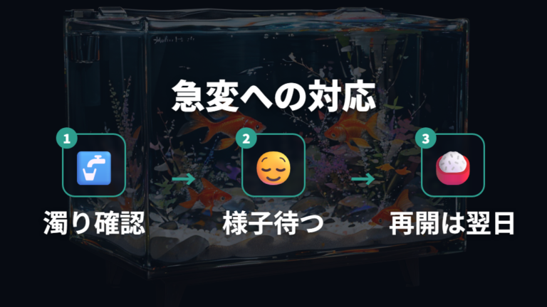水換え後に食べない原因は急な変化への適応にある