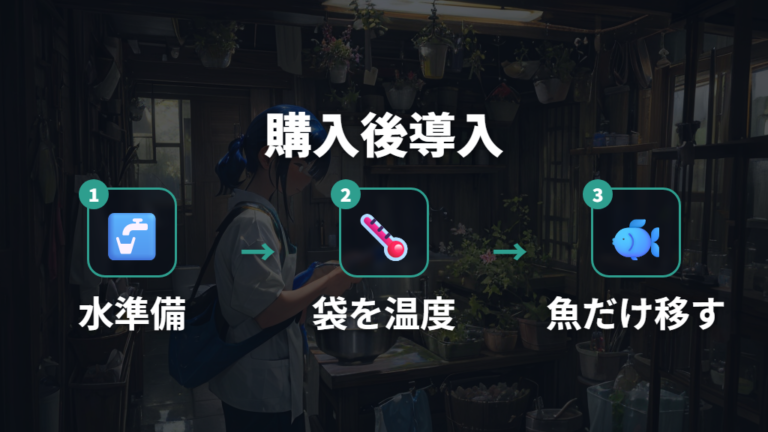 購入後に水槽へ入れる手順は準備した水から始める