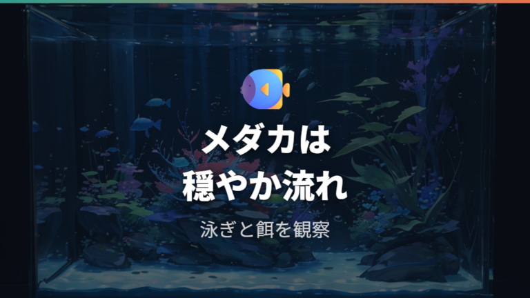 メダカ水槽で使う場合の目安は穏やかな水流を優先する