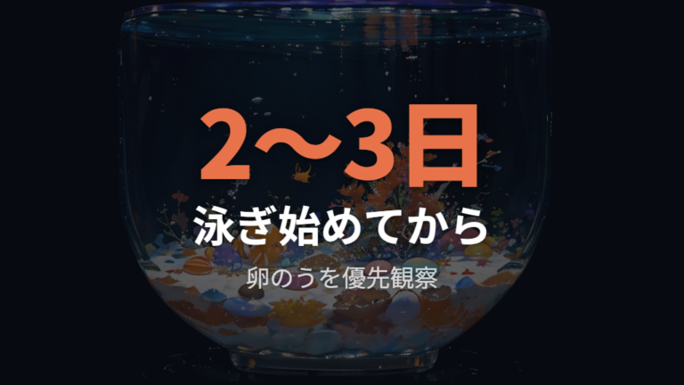 孵化後の稚魚に与える餌は泳ぎ始めてから用意する