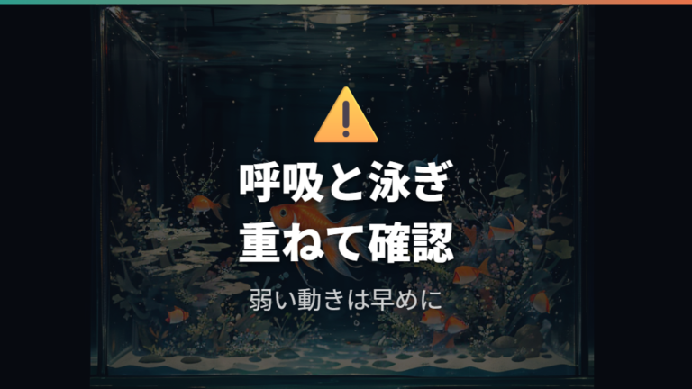 重症化したときの判断は呼吸と泳ぎ方を見る