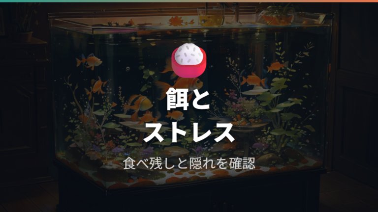 餌やストレスの見直しで底にいる原因を減らす