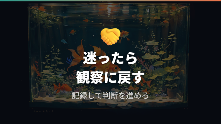 お腹のふくらみが卵か迷う時にまず控えること