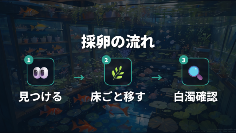 卵を採取して隔離する手順は産卵床ごと移すのが基本