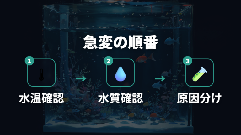 急に動かない時の水槽環境は水質と水温を疑う