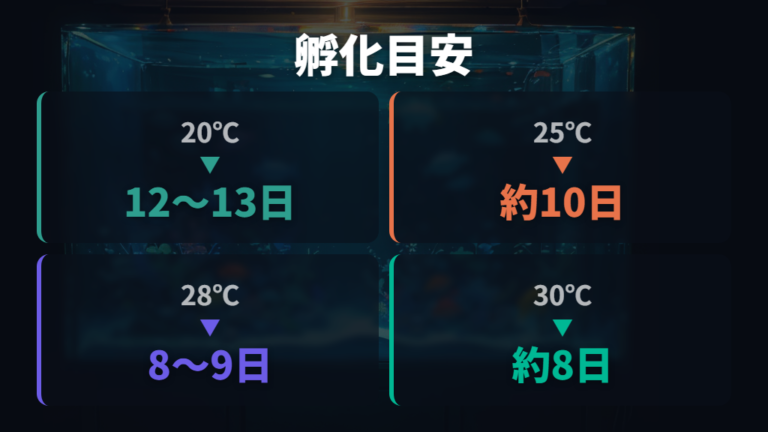 孵化までの水温と日数の目安は積算温度で考える