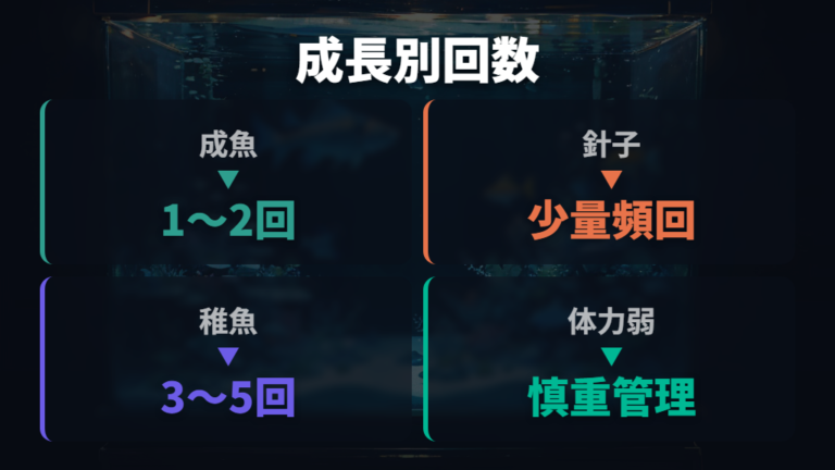 針子と稚魚のエサ頻度は成魚より多めにする