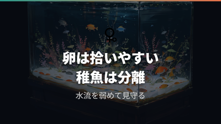 卵の発見と稚魚管理で底砂なしをどう考えるか