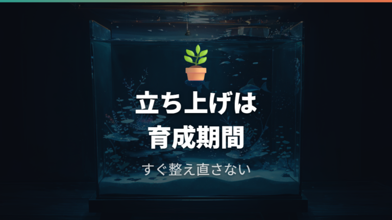 立ち上げ直後に白く濁る理由は水がまだ安定していないから