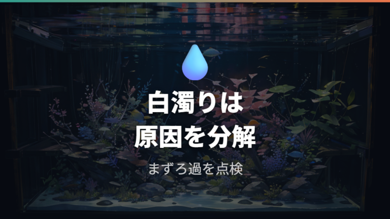 白濁りが起きる原因と対処は不安定さやろ過環境から考える