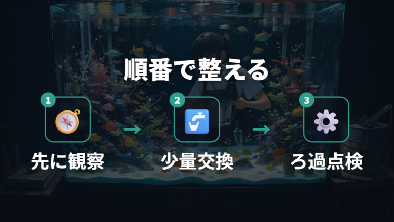 白濁りを解消する水換えとろ過のコツを順番に試す