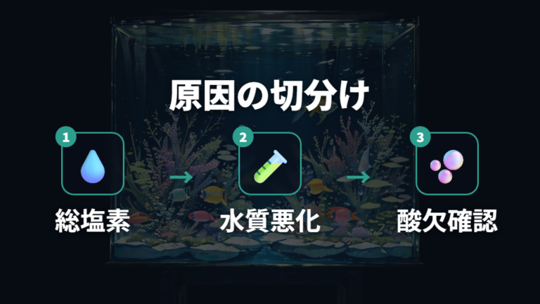 弱るときに疑う水質の原因を順番に切り分ける