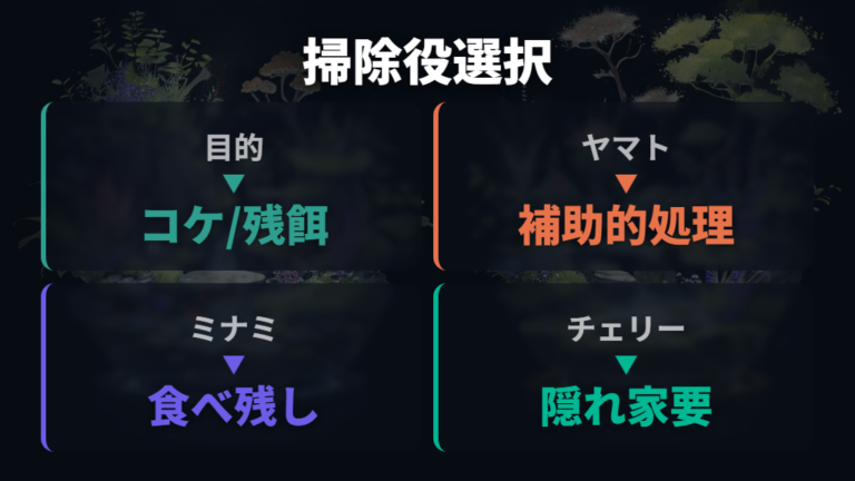 掃除役になるエビの種類は目的で選ぶ