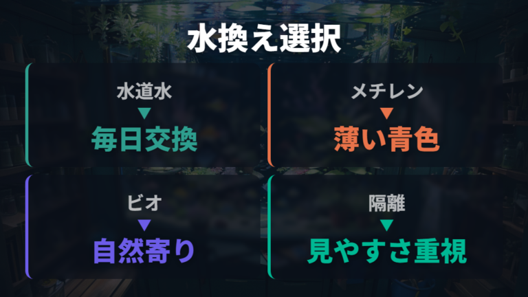 カビを防ぐ水換え管理は水道水と容器で変わる