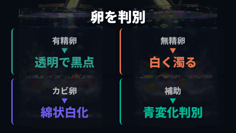 無精卵やカビた卵の見分け方を比較する