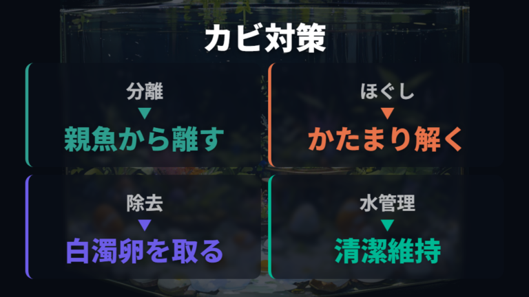 卵のカビを防ぐ管理方法を順番に整える