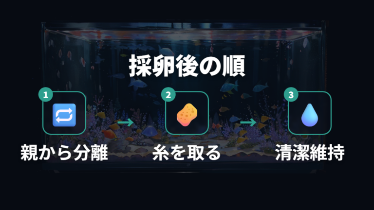 採卵後の卵の管理方法を順番に整える