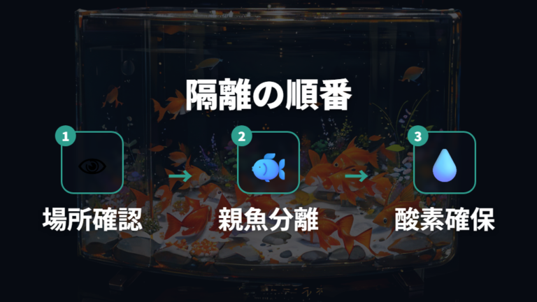 卵を見つけた後の管理方法は親魚との隔離から始める
