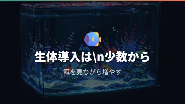 メダカやエビの入れ方は少数から慣らして始める