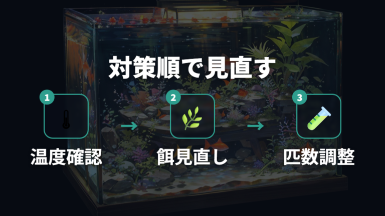 産卵しないときの対策は環境から順番に見直す